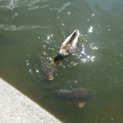 Olympiapark Olympiapark