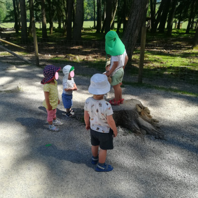 Wildpark Poing