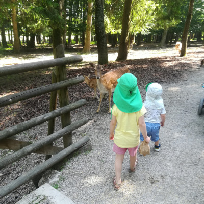 Wildpark Poing