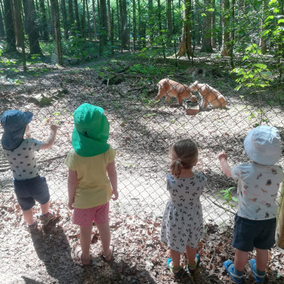 Wildpark Poing