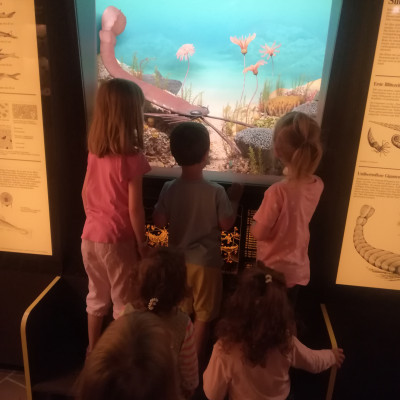 Museum Mensch  Natur