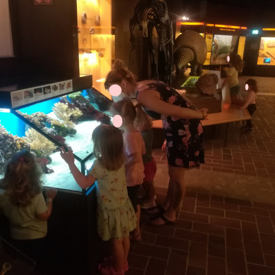Museum Mensch  Natur