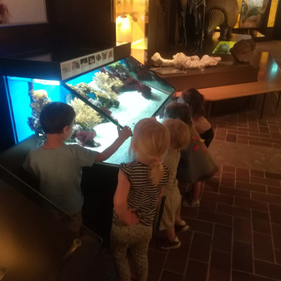 Museum Mensch  Natur