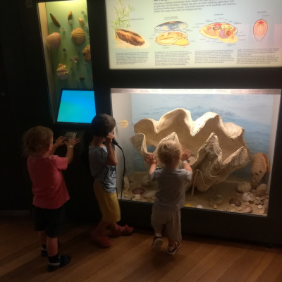 Museum Mensch  Natur