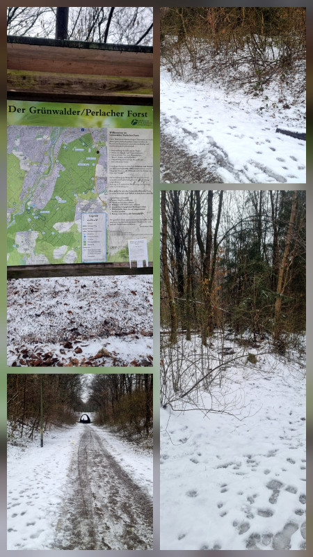 Perlacher Forst Perlacher Forst